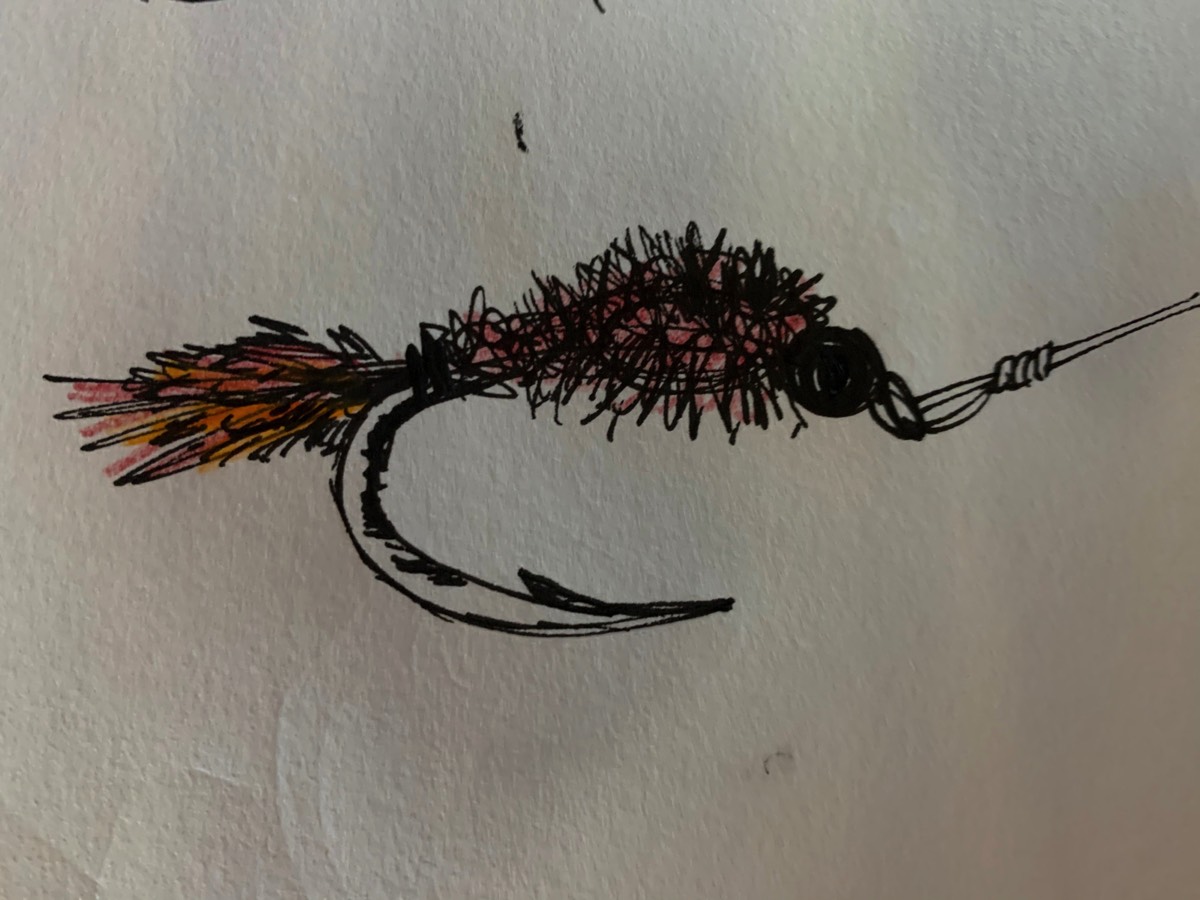 Fly Sketch 2