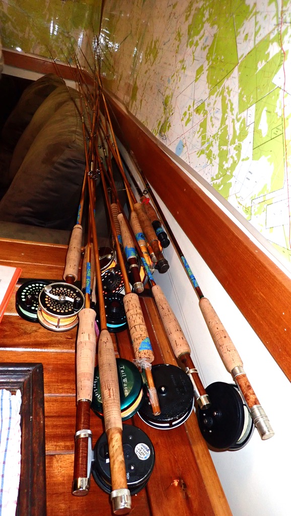 Rods Rods Rods