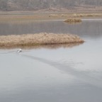 PA080287.JPG